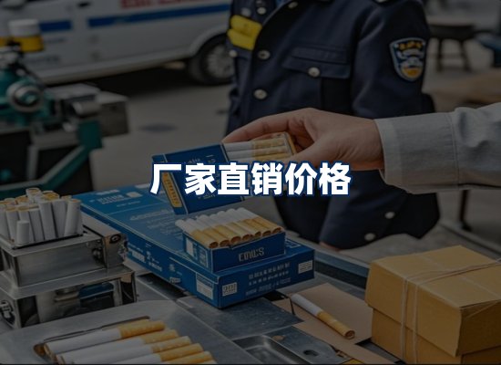 专业团队办公环境